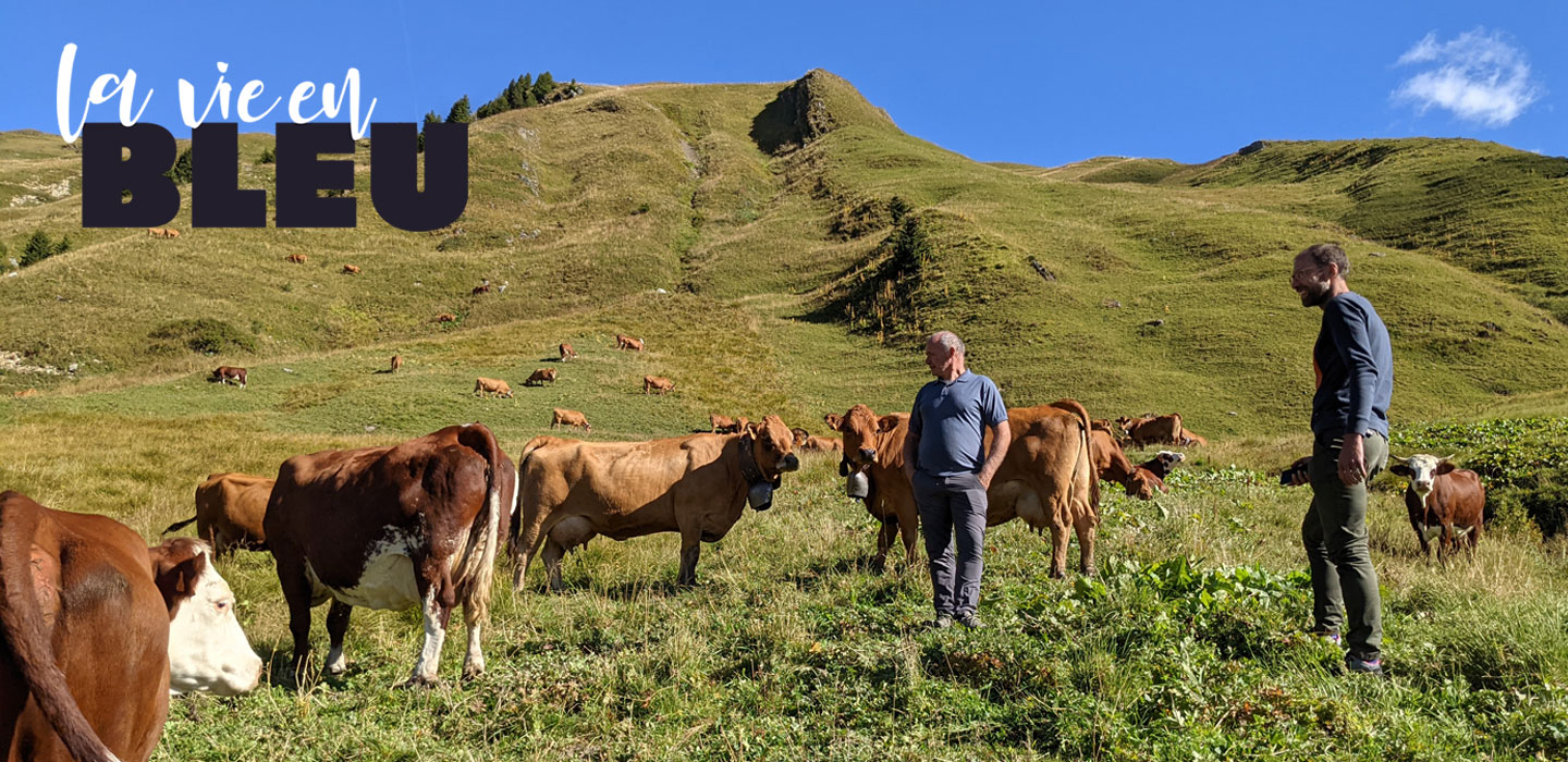 Monbleu-Lavienbleu-Blog-Fromage