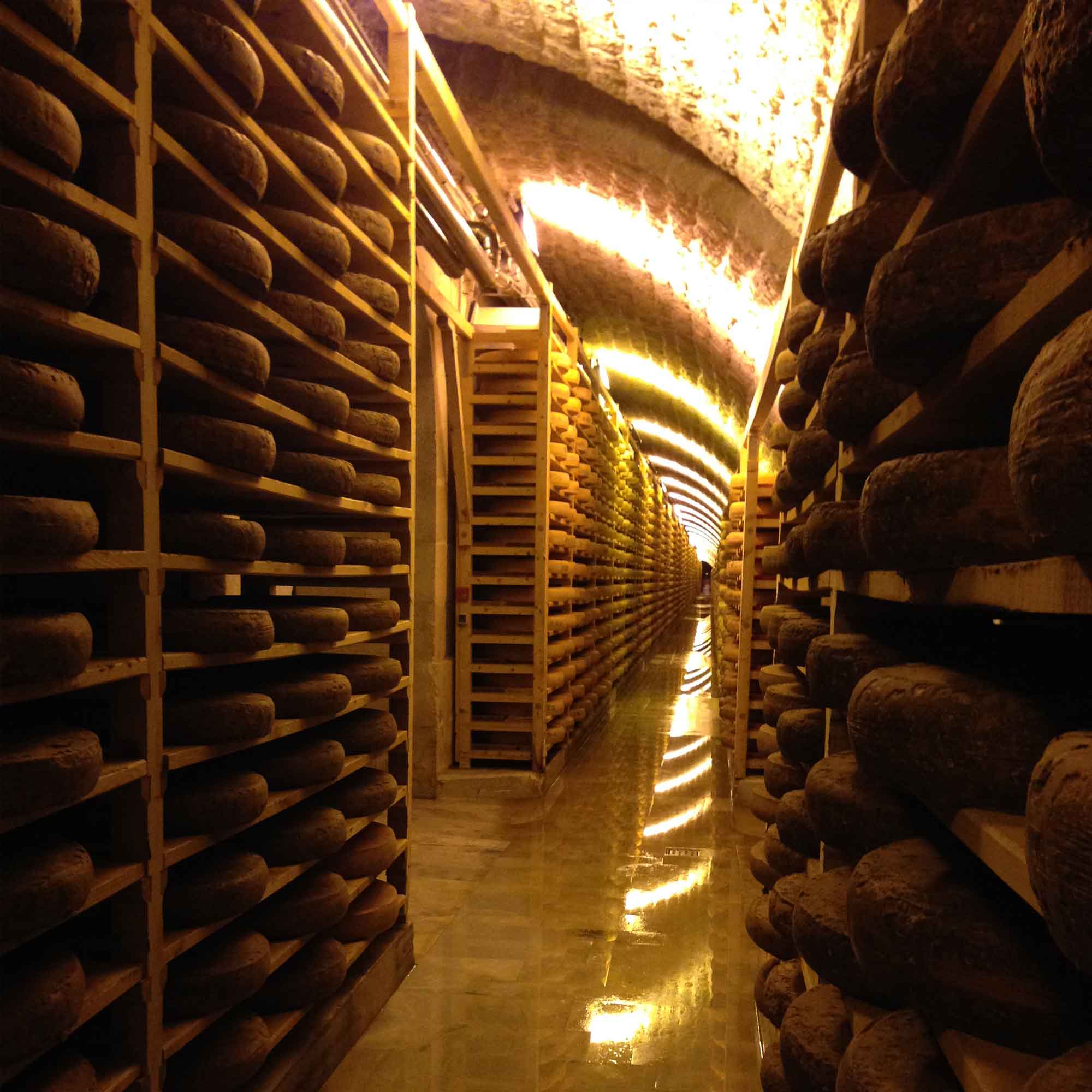 MONBLEU-La-vie-en-bleu-filiere-comte-fort-des-rousses